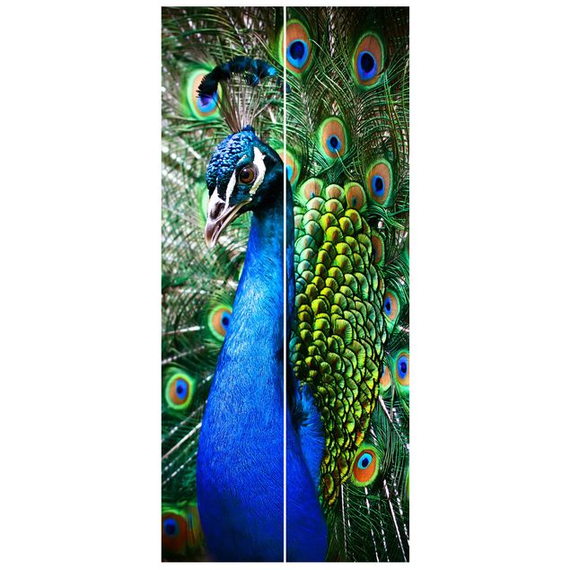 Deur behang Noble Peacock