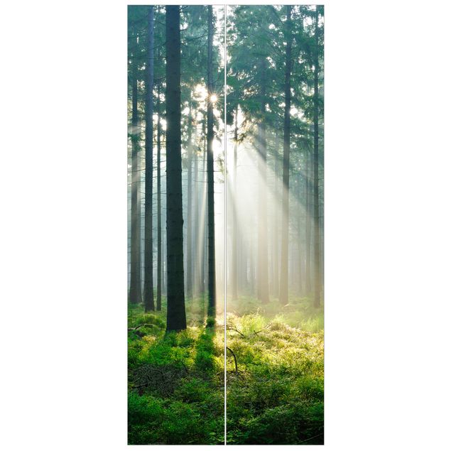 Deur behang Enlightened Forest