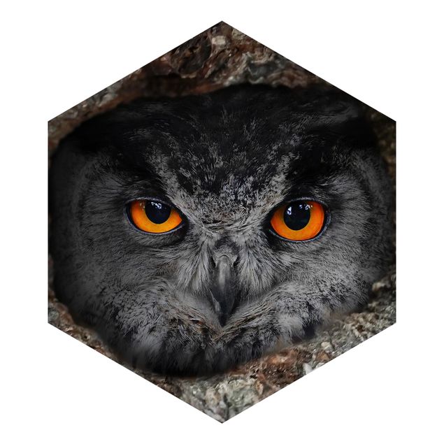 Hexagon Behang Watching Owl