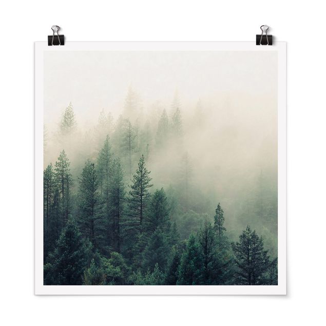 Posters Foggy Forest Awakening