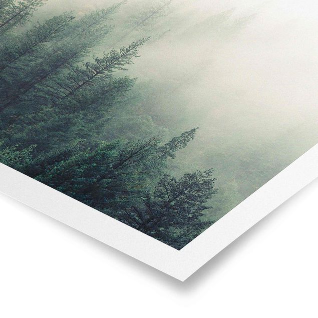 Posters Foggy Forest Awakening