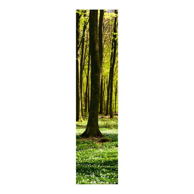 Schuifgordijnen Forest Meadow