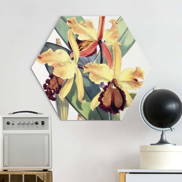 Hexagons Aluminium Dibond schilderijen - Walter Hood Fitch - Orchid