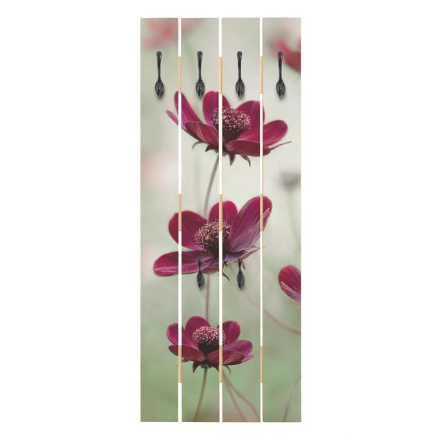 Wandkapstokken houten pallet Pink Cosmos Flower