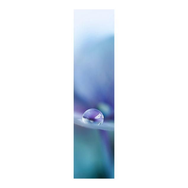 Schuifgordijnen Water Drops Hydrangeas