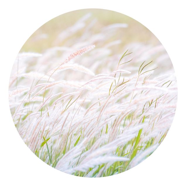 Behangcirkel Soft Grasses