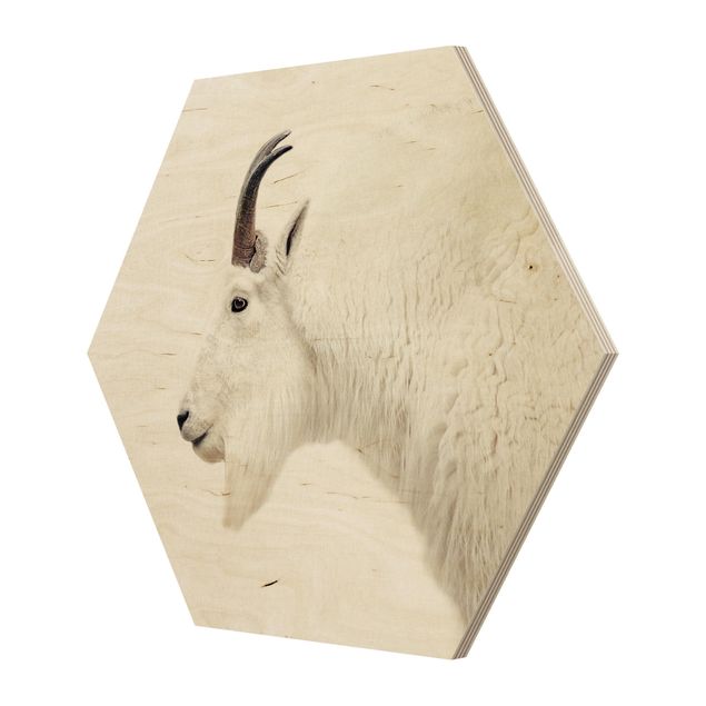 Hexagons houten schilderijen White Mountain Goat
