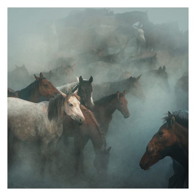Fotobehang Wild Horses