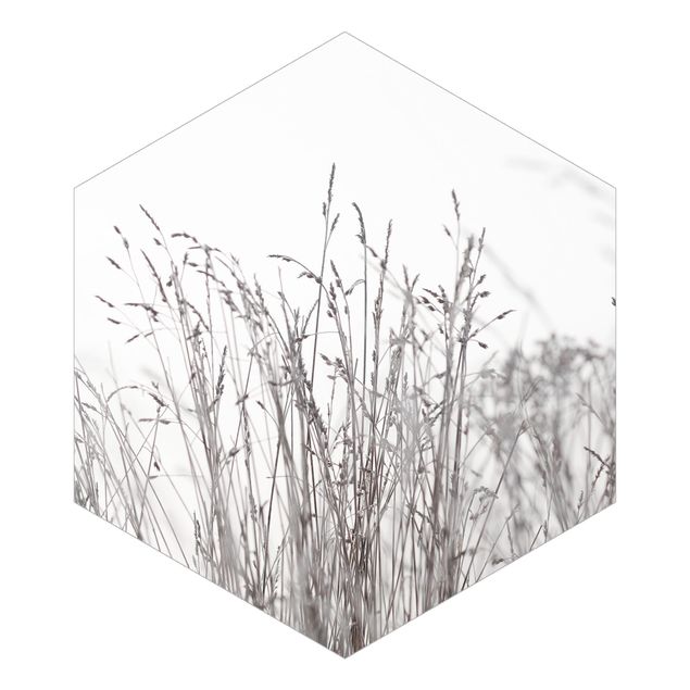 Hexagon Behang Winter Grasses