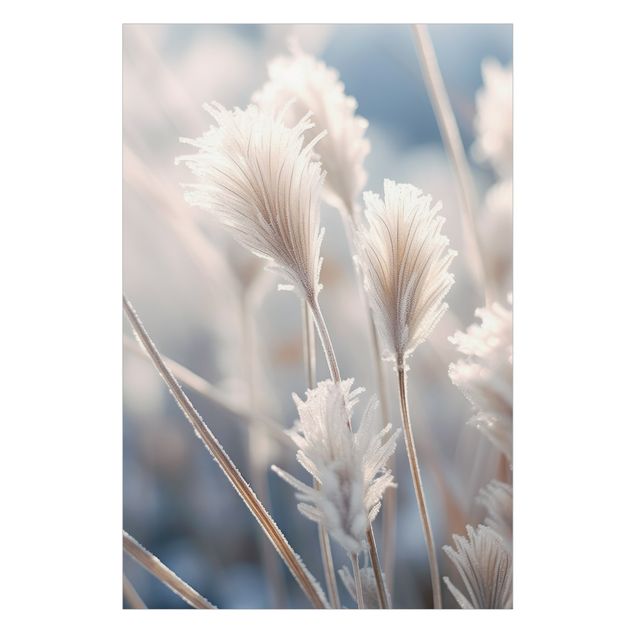 Raamfolie - Winter grasses close-up