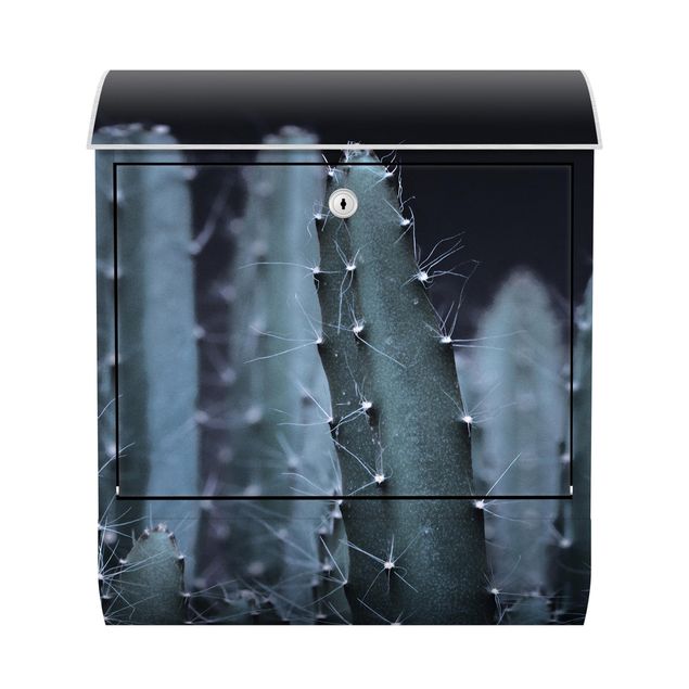 Brievenbussen Desert Cactus At Night