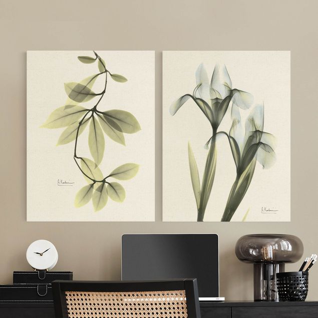 Natuurlijk canvas schilderijen - 2-delig  X-Ray - Hoya Leaves & Iris
