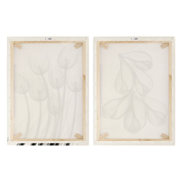 Natuurlijk canvas schilderijen - 2-delig  X-Ray - Tulips & Fig Shells
