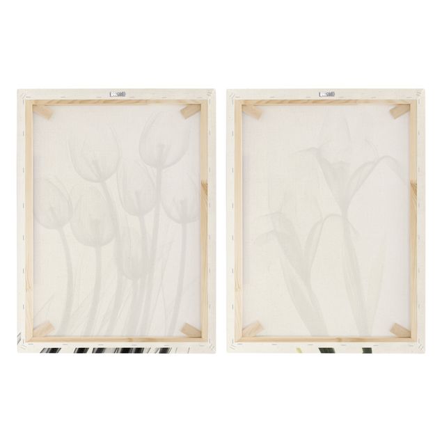 Natuurlijk canvas schilderijen - 2-delig  X-Ray - Tulips & Iris