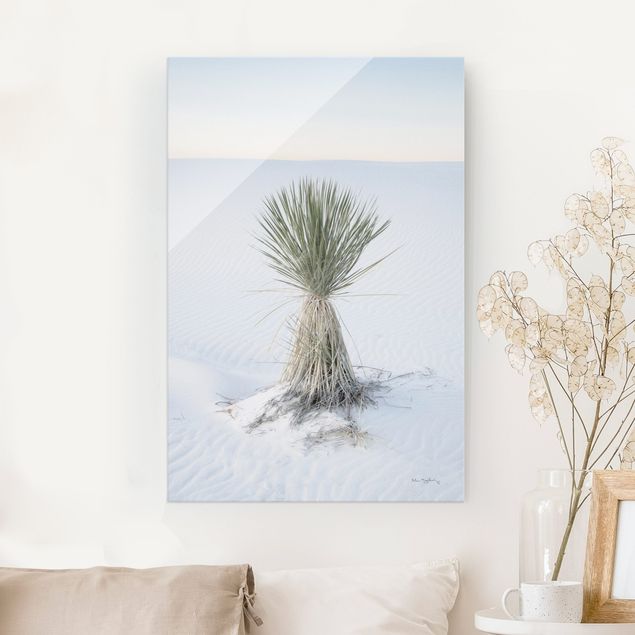 Glas Magnetboard Yucca palm in white sand