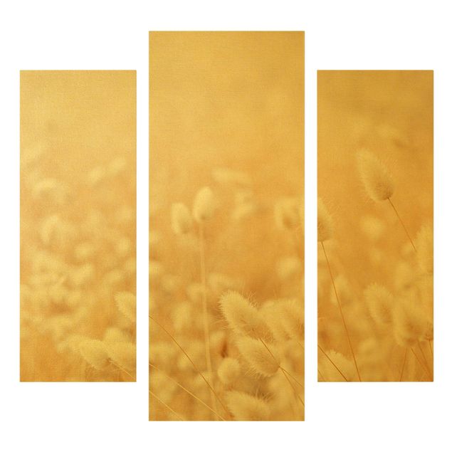 Canvas schilderijen - 3-delig Delicate Grasses