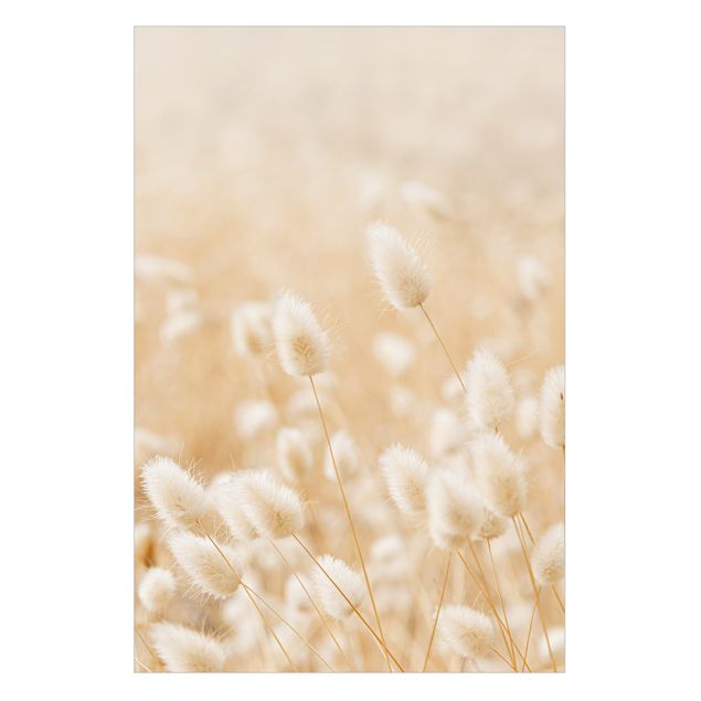 Raamfolie - Delicate Grasses