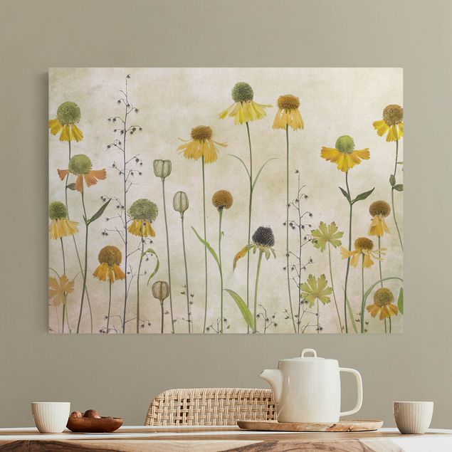Canvas schilderijen - Goud Delicate Helenium Flowers
