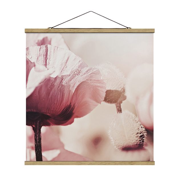 Stoffen schilderij met posterlijst Pale Pink Poppy Flower With Water Drops