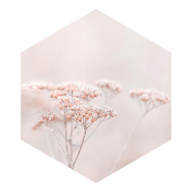 Hexagon Behang Pale Pink Wild Flowers