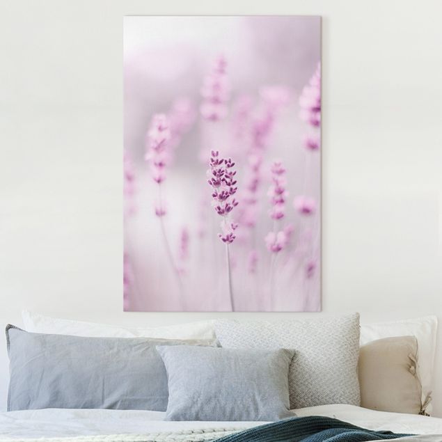 Canvas schilderijen Pale Purple Lavender