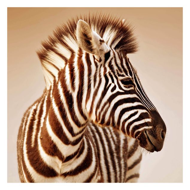 Fotobehang Zebra Baby Portrait
