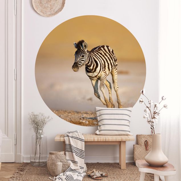 Behangcirkel Zebra Foal
