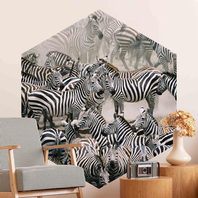Hexagon Behang Zebra Herd