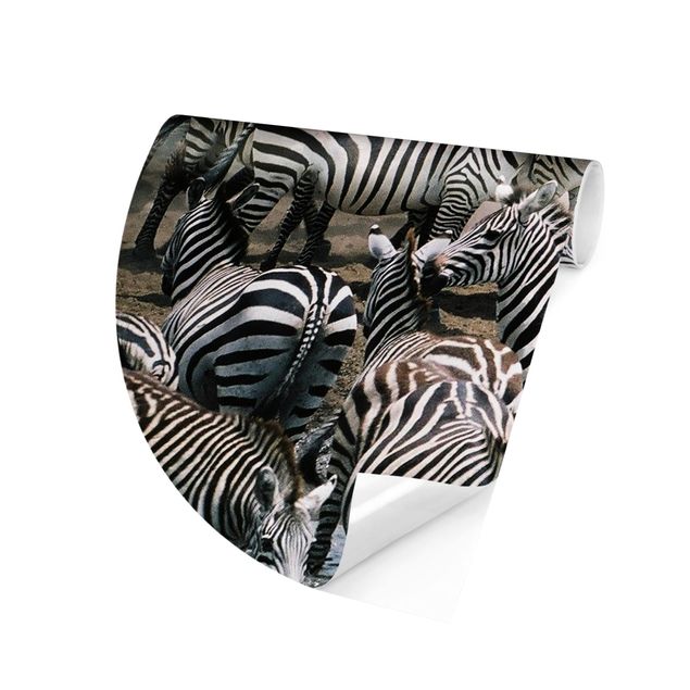 Behangcirkel Zebra Herd