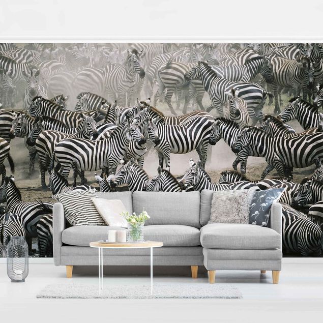 Fotobehang Zebra Herd