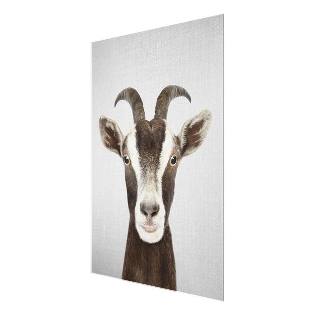 Glasschilderijen - Goat Zora